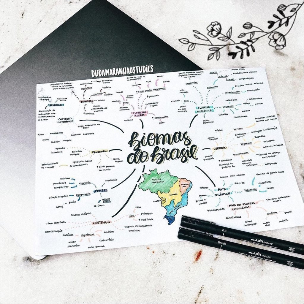 Mapas Mentais Sobre PROBLEMAS AMBIENTAIS Study Maps