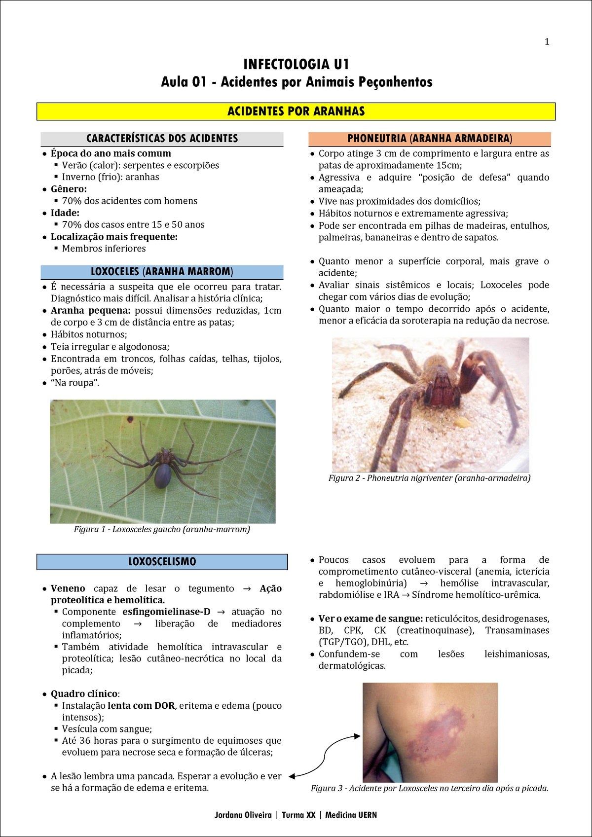 Mapas Mentais Sobre Animais Pe Onhentos Study Maps