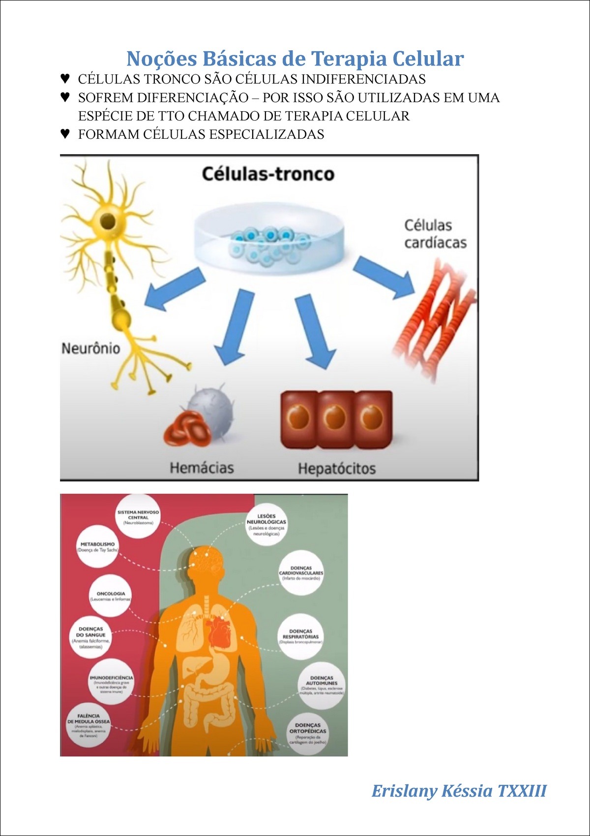 Mapas Mentais Sobre Anemia Falciforme Study Maps