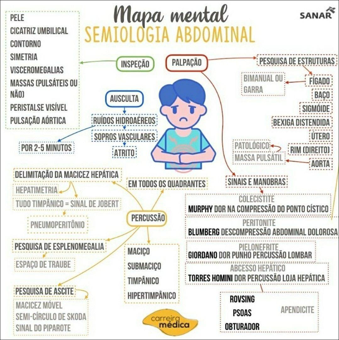 Mapas Mentais Sobre ABDOMINAL Study Maps