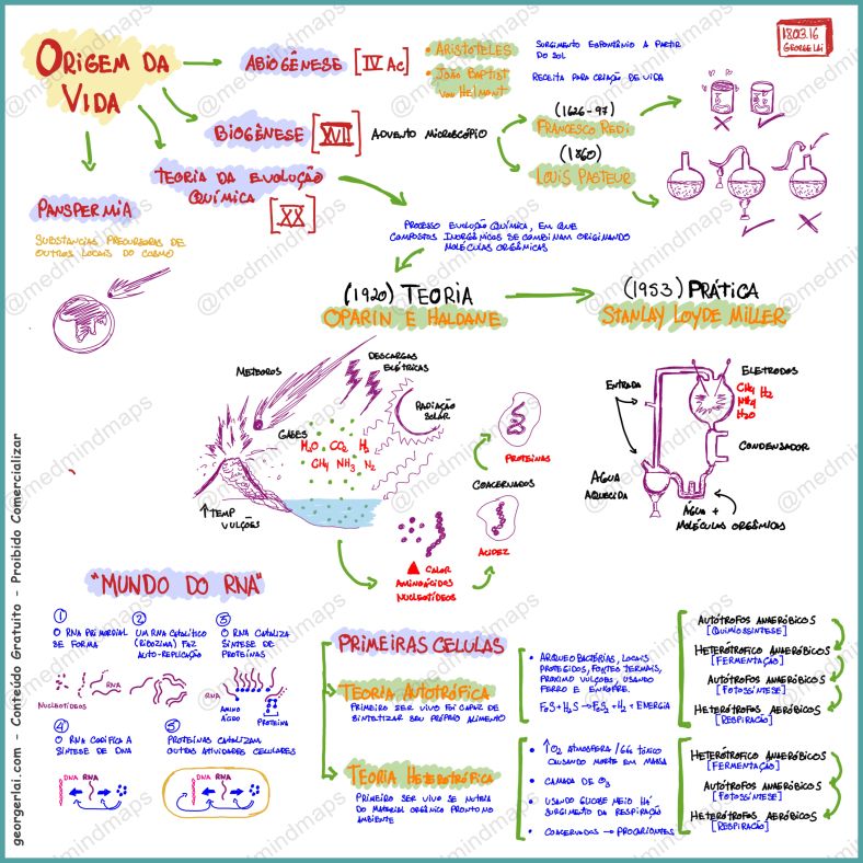 Mapa Mental Sobre Origem Da Vida Study Maps