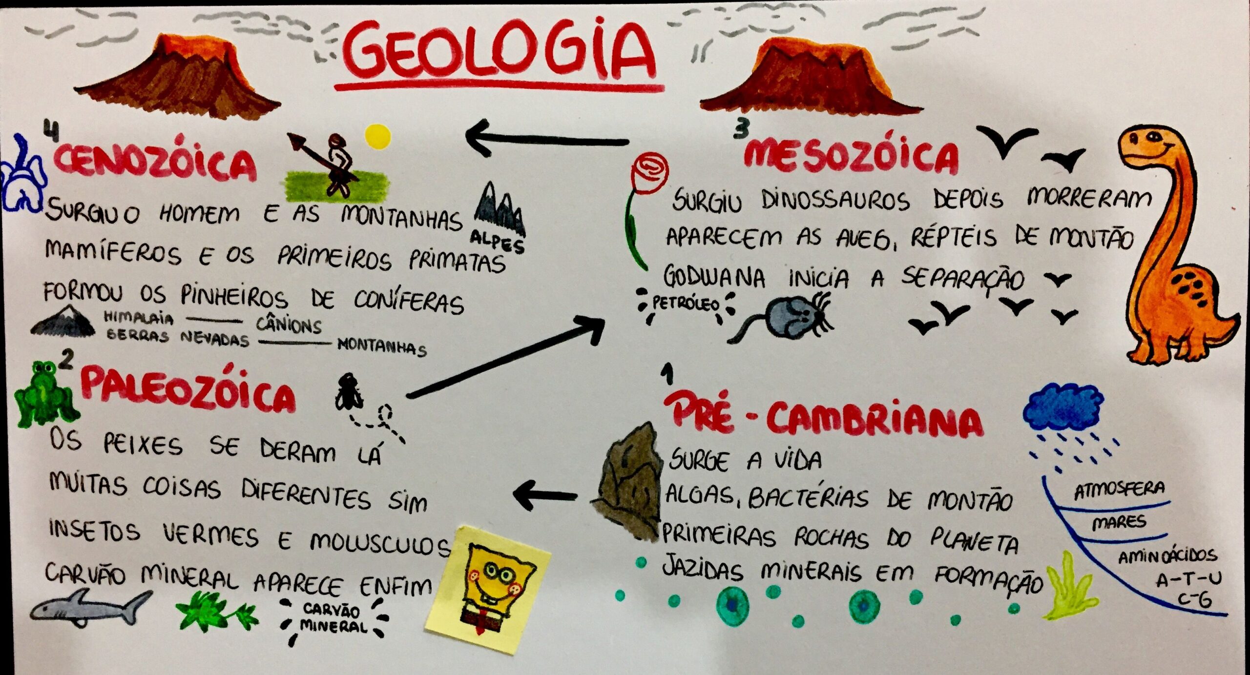 MAPA SOBRE ERAS GEOLÓGICAS - STUDY MAPS
