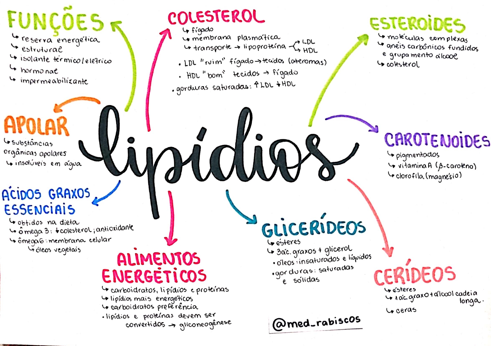 Mapa Mental Sobre Lipídios Edulearn 7166