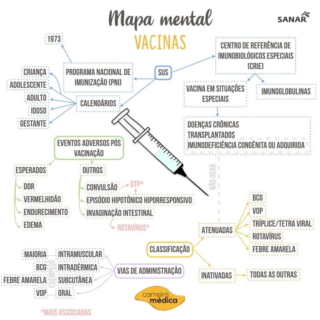 Mapa Mental Sobre Sistema Imunol Gico Study Maps