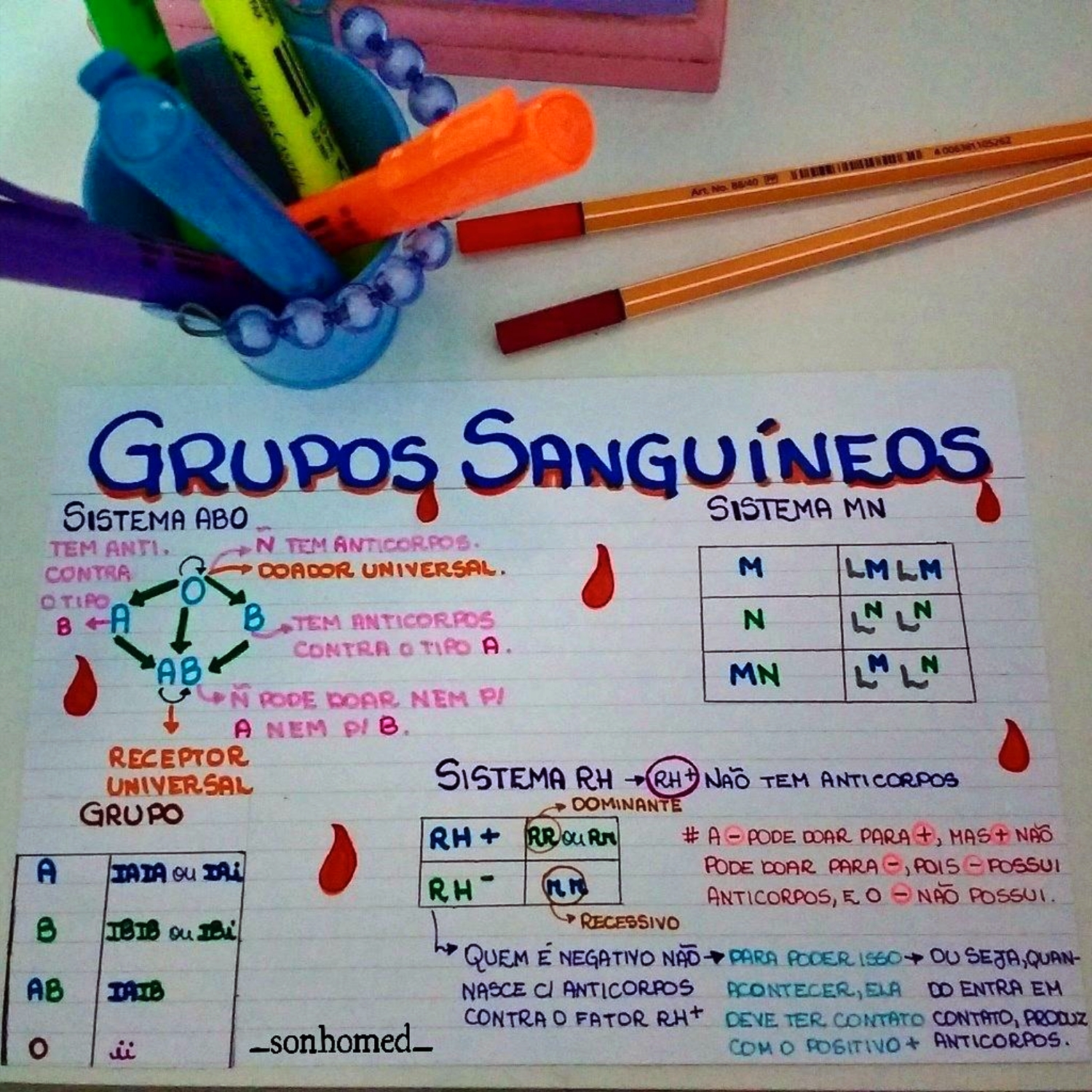 MAPA MENTAL SOBRE GRUPOS SANGUÍNEOS - STUDY MAPS