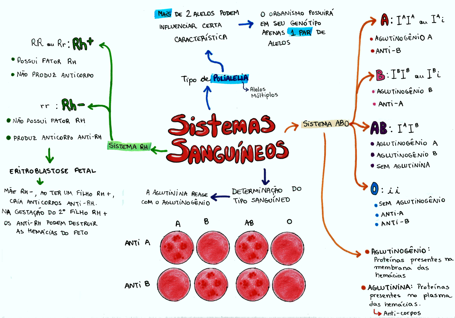 MAPA MENTAL SOBRE GRUPOS SANGUÍNEOS - STUDY MAPS