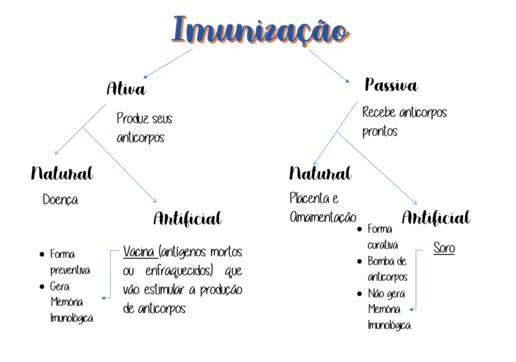 MAPA MENTAL SOBRE IMUNIZAÇÃO - STUDY MAPS