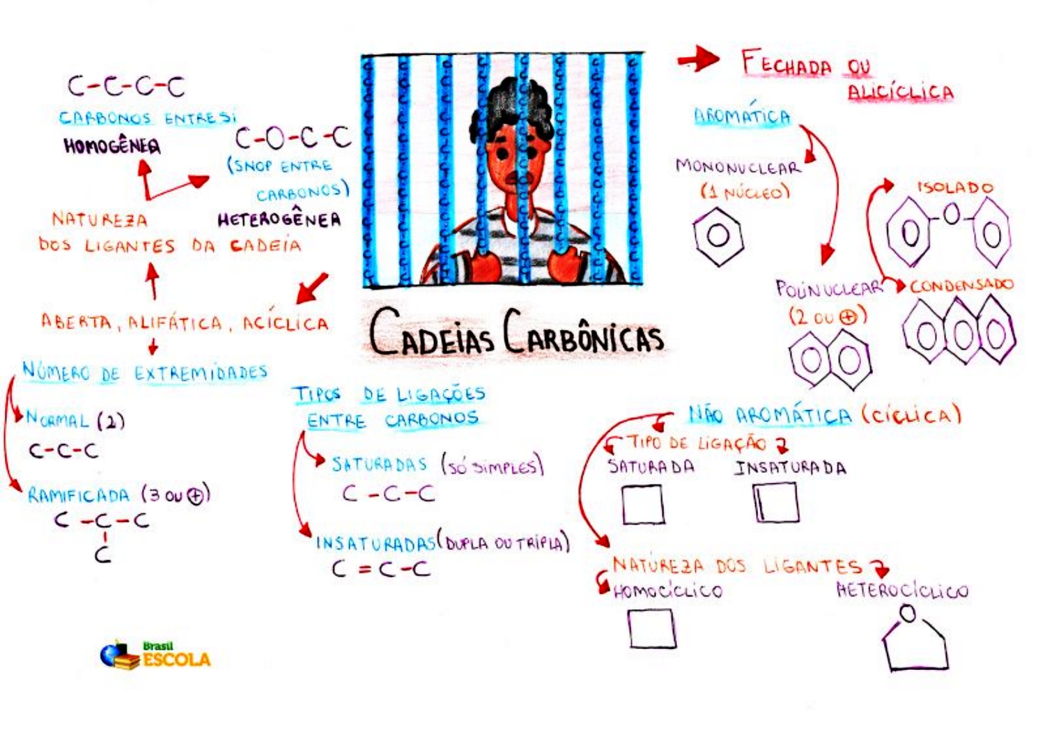 MAPA MENTAL SOBRE CADEIAS CARBÔNICAS - STUDY MAPS