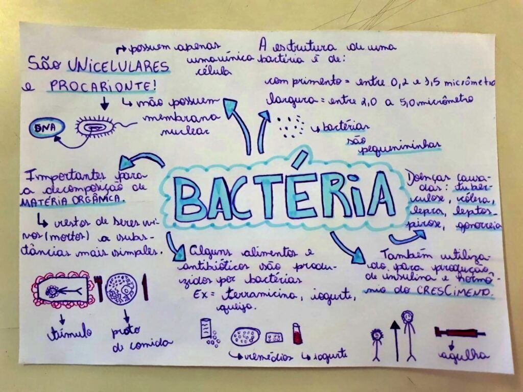 Mapa Mental Sobre Bact Rias Study Maps