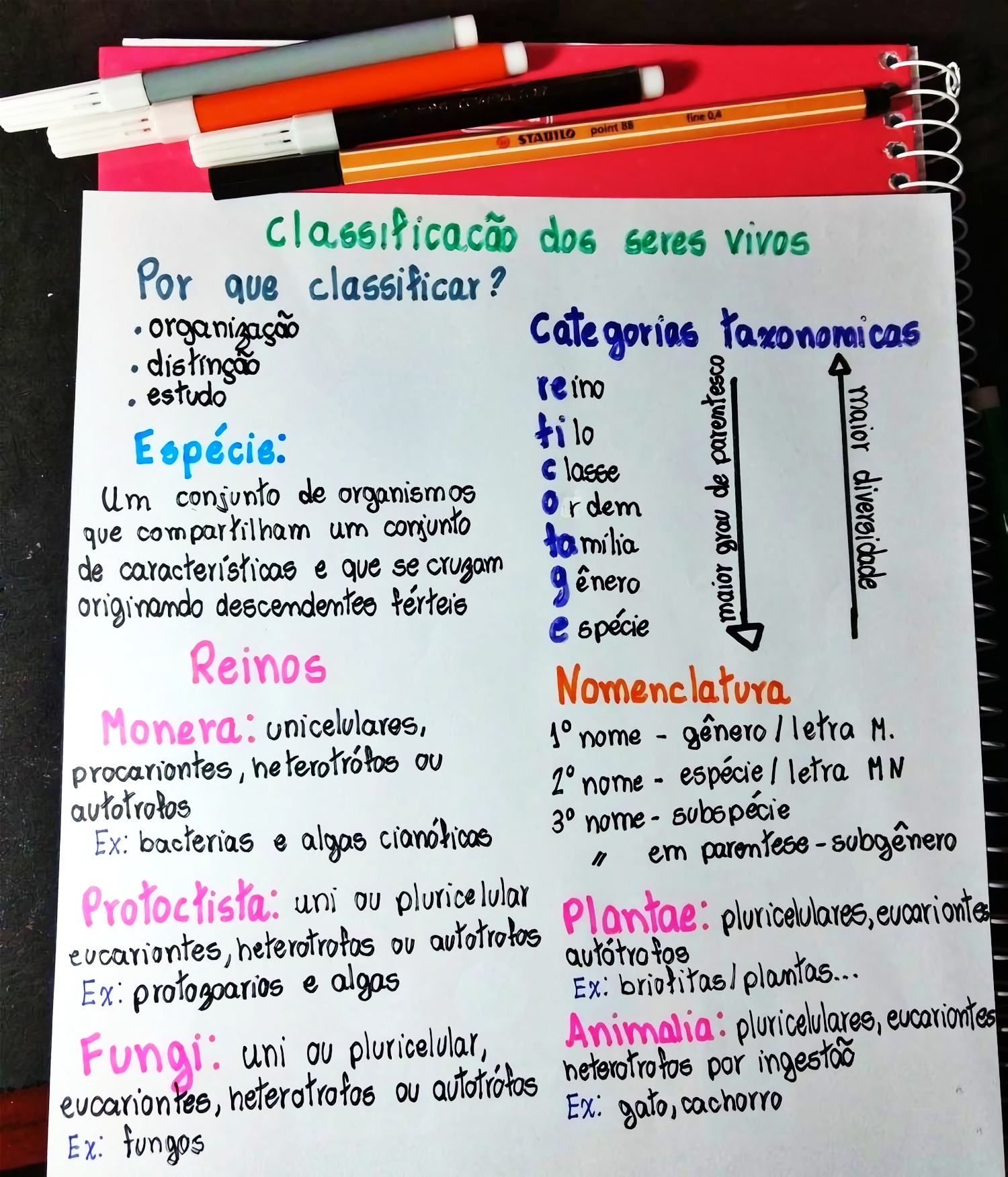 MAPA MENTAL SOBRE CLASSIFICAÇÃO DOS SERES VIVOS