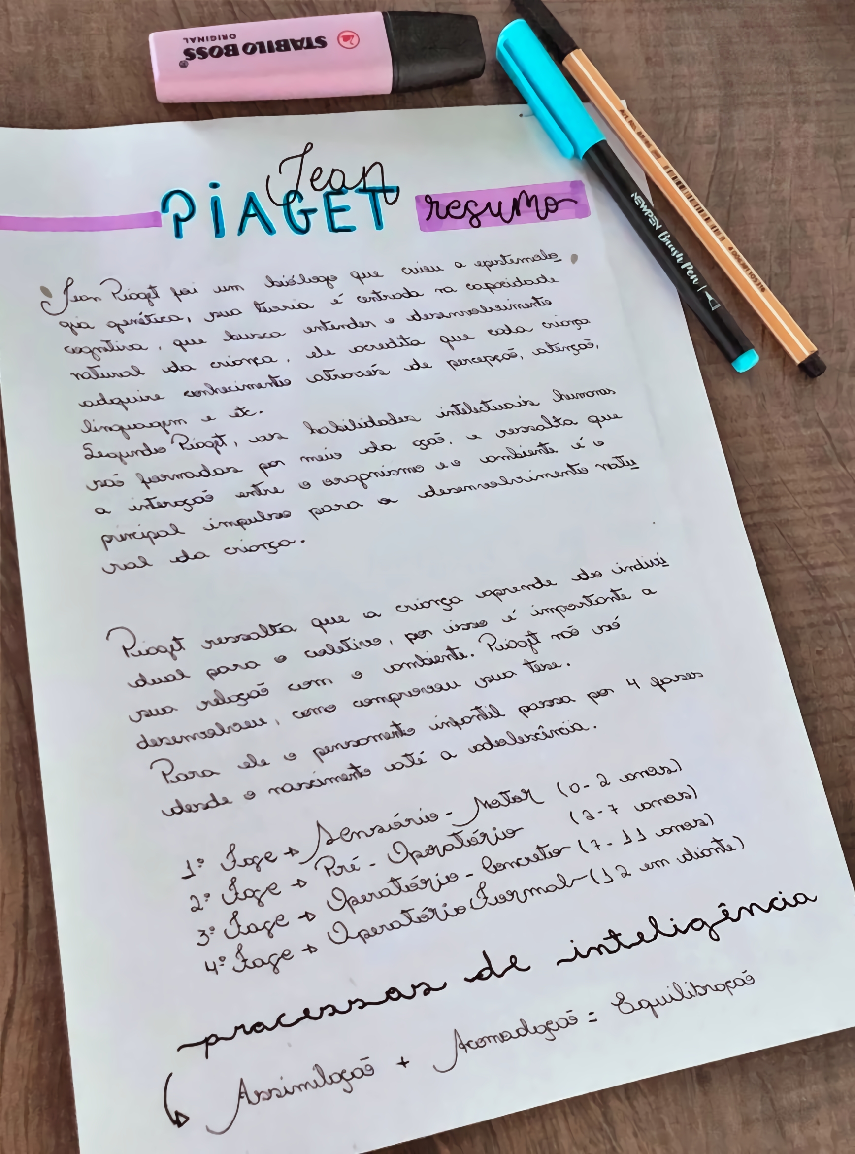 MAPA MENTAL SOBRE PIAGET - STUDY MAPS