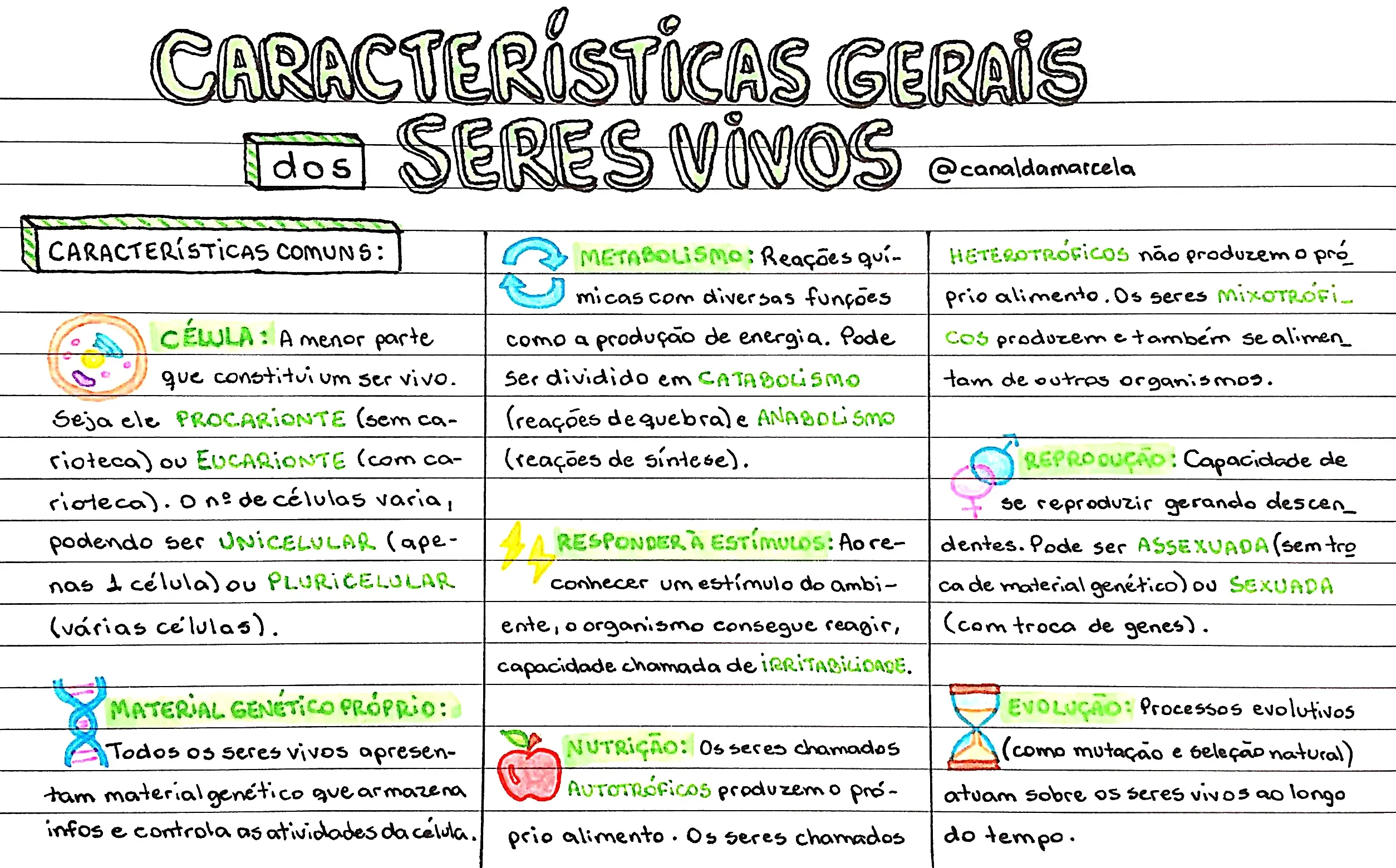 Características dos Seres vivos