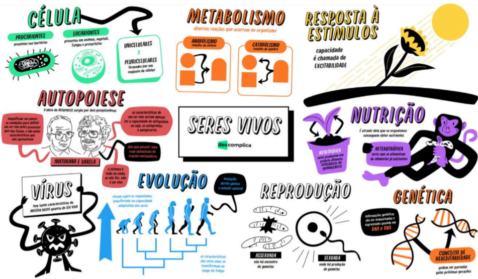 Mapas Mentais Sobre Caracter Sticas Dos Seres Vivos Study Maps