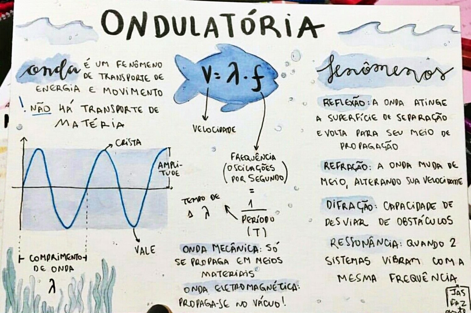 ONDULATORIA