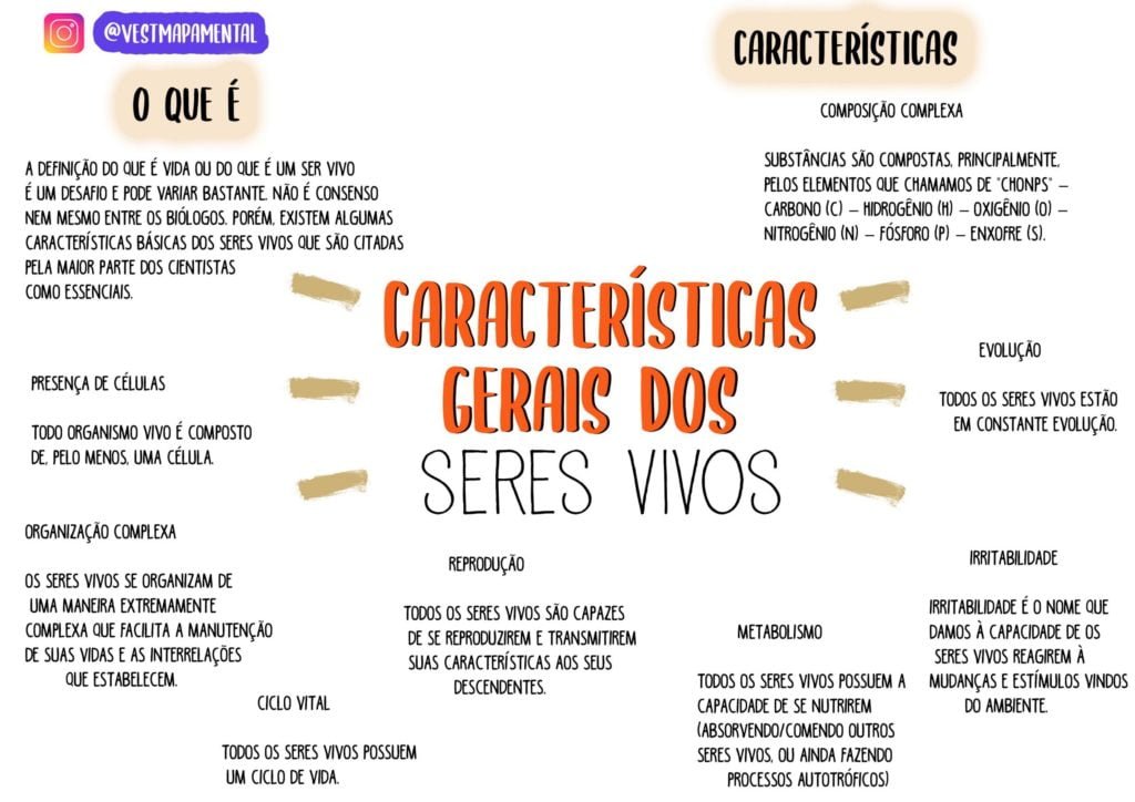 Características dos Seres vivos
