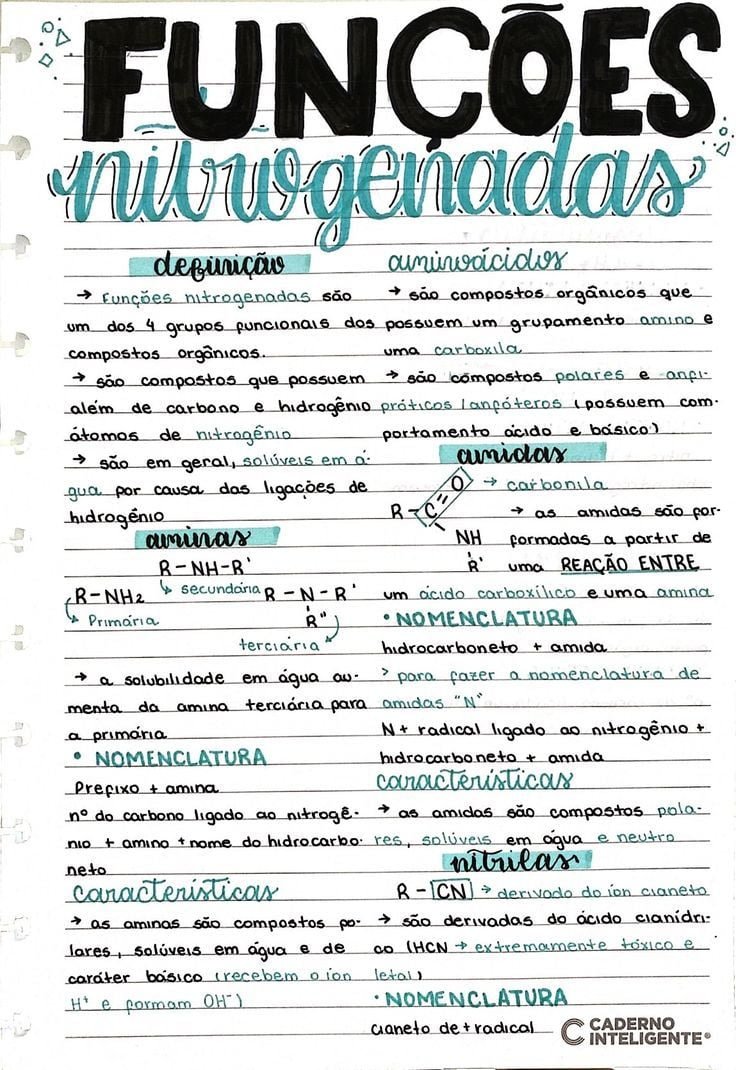 FUNÇÕES NITROGENADAS