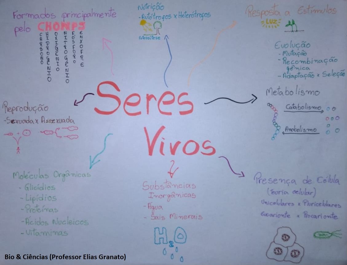 Características dos Seres vivos