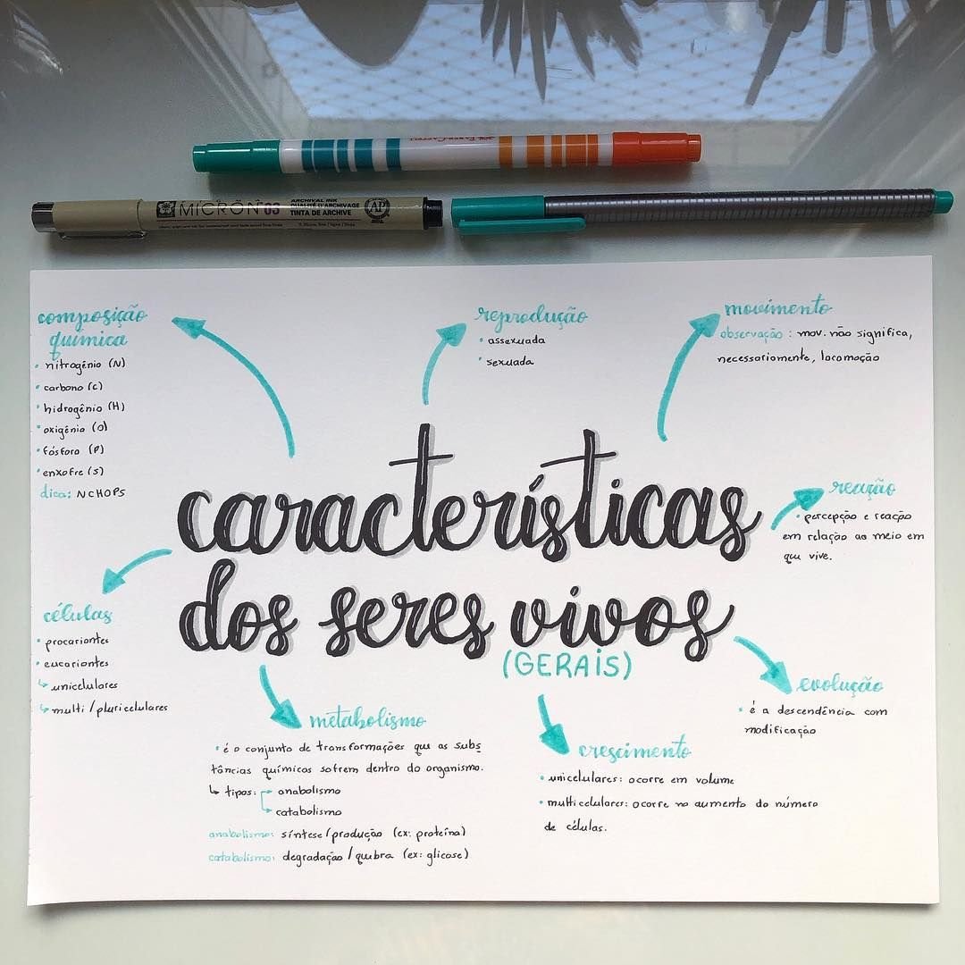 Características dos Seres vivos