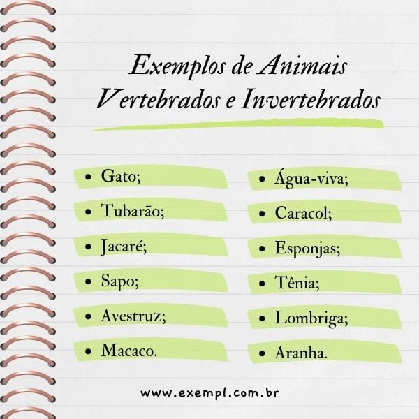 Animais Invertebrados