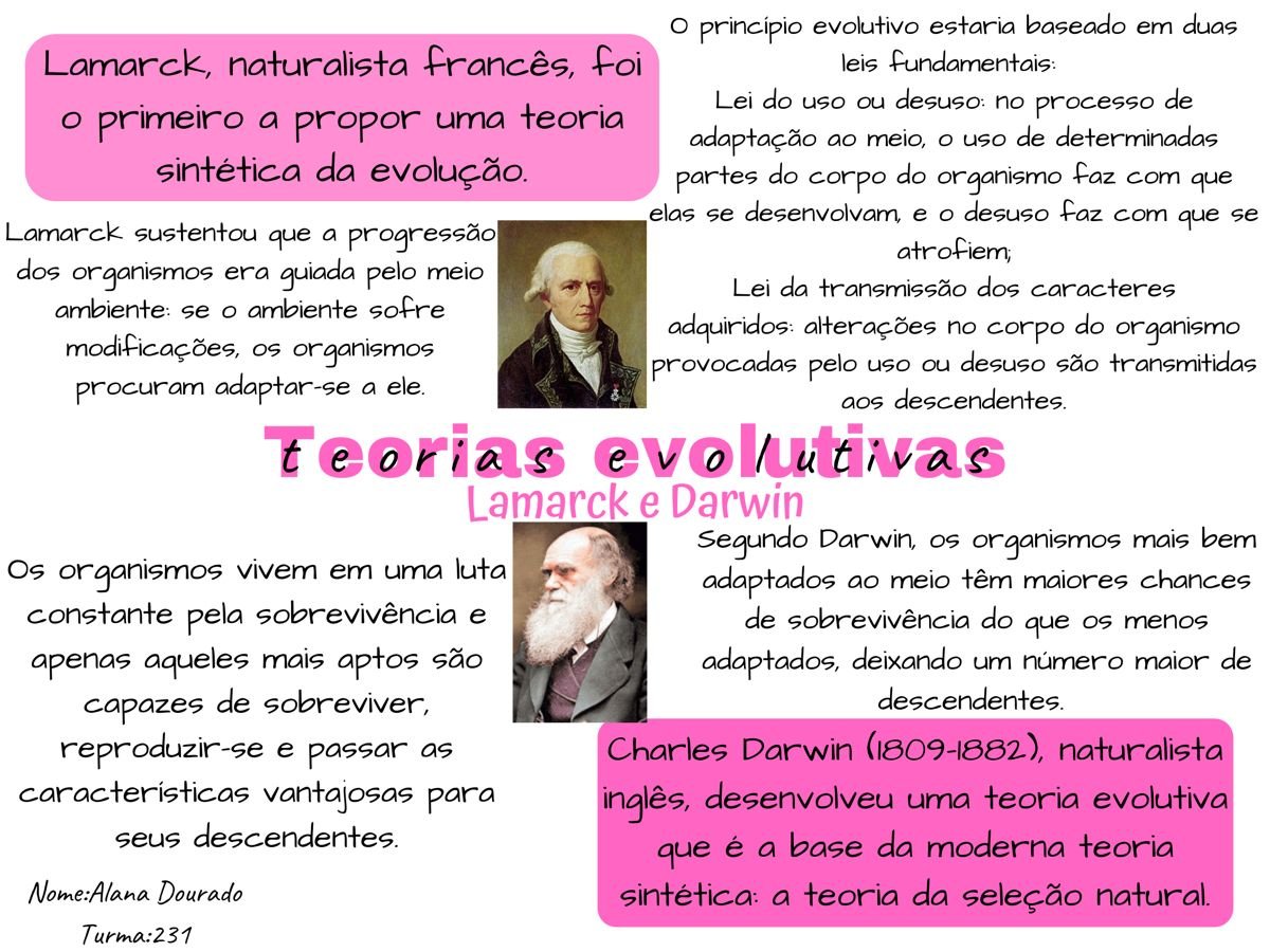 TEORIAS EVOLUTIVAS