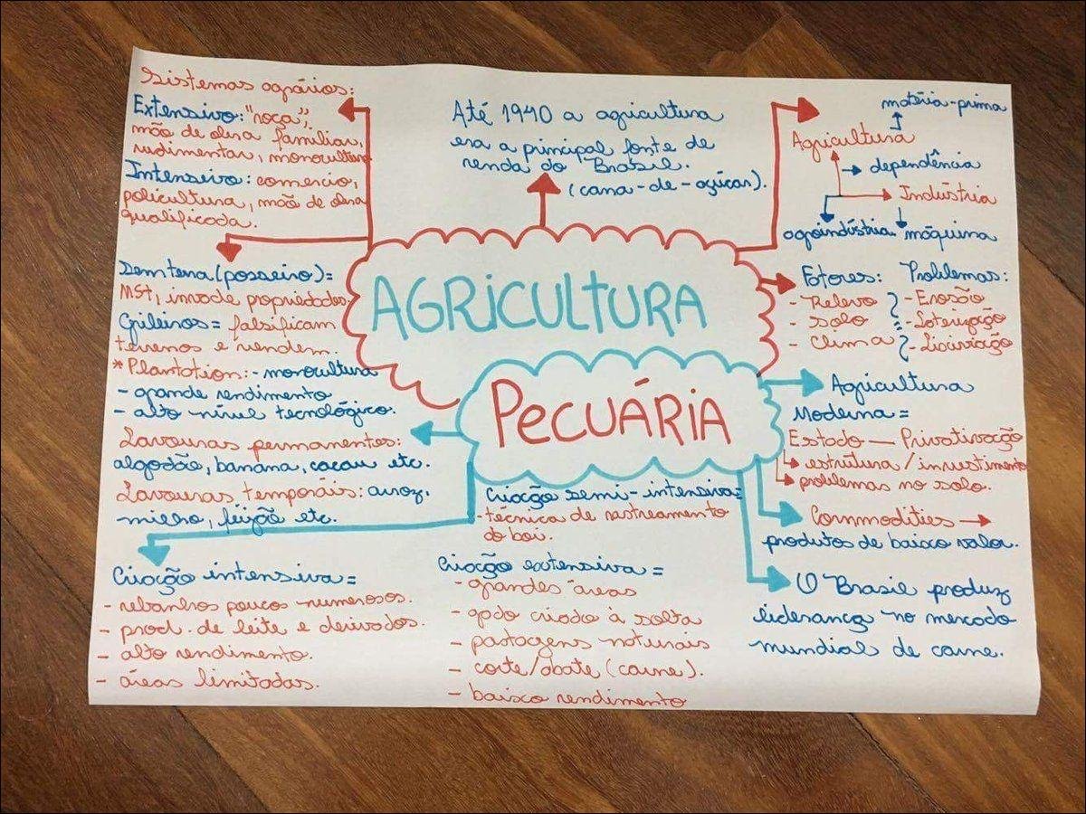 PECUARIA