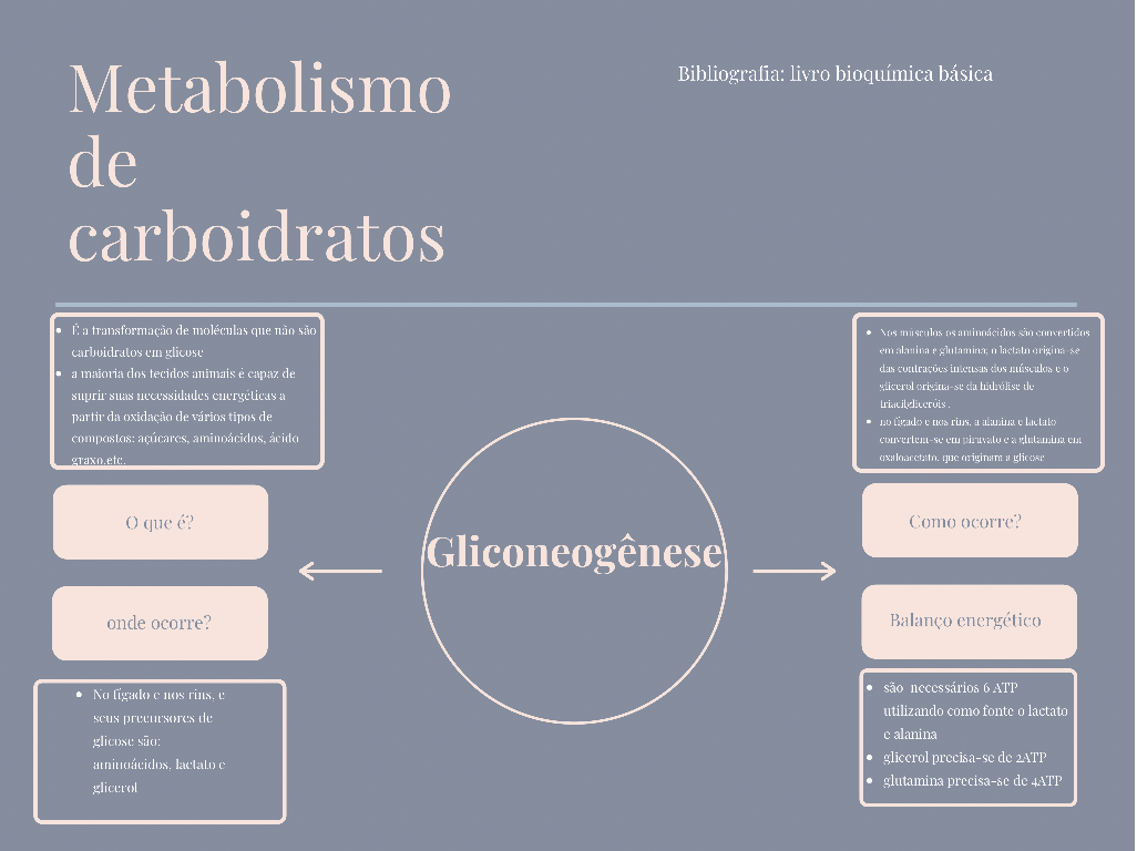 GLICONEOGÊNESE