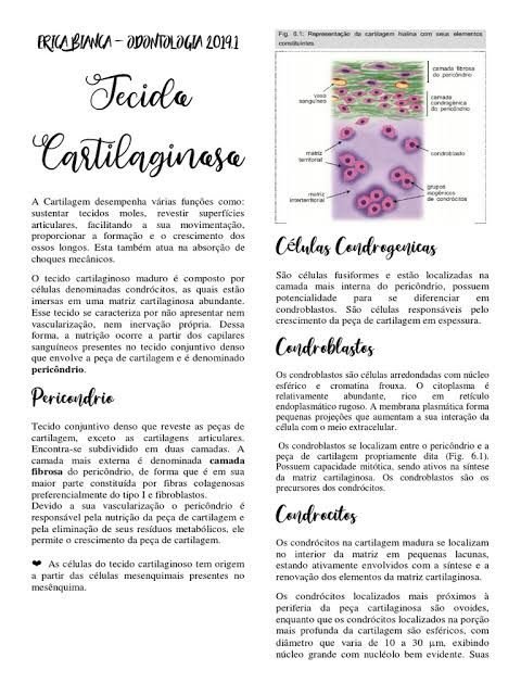 TECIDO CARTILAGINOSO