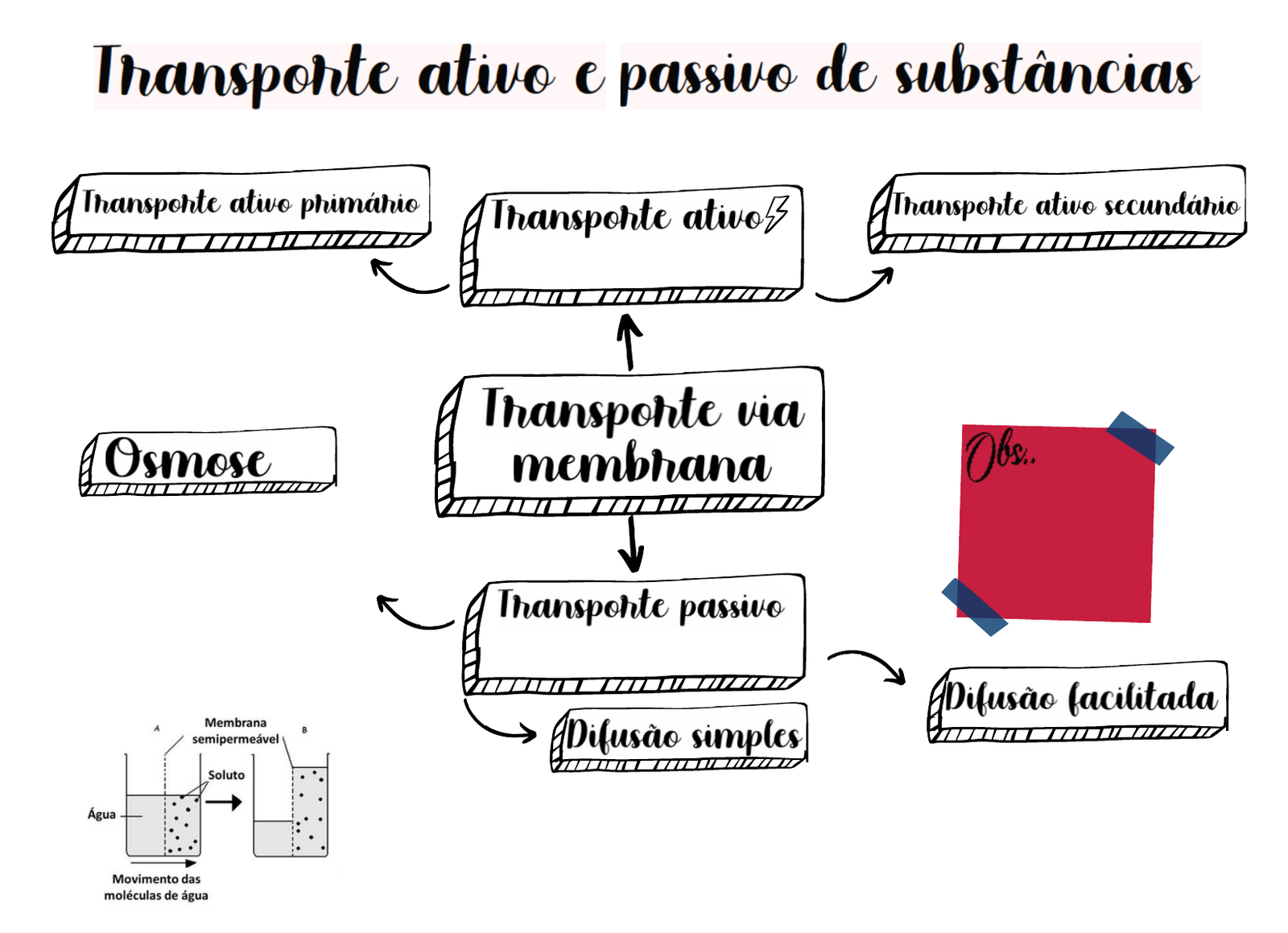 TRANSPORTE ATIVO E PASSIVO