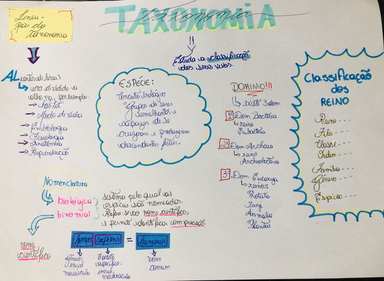 mapa mental com Vertebrados: Subdivisões e Características