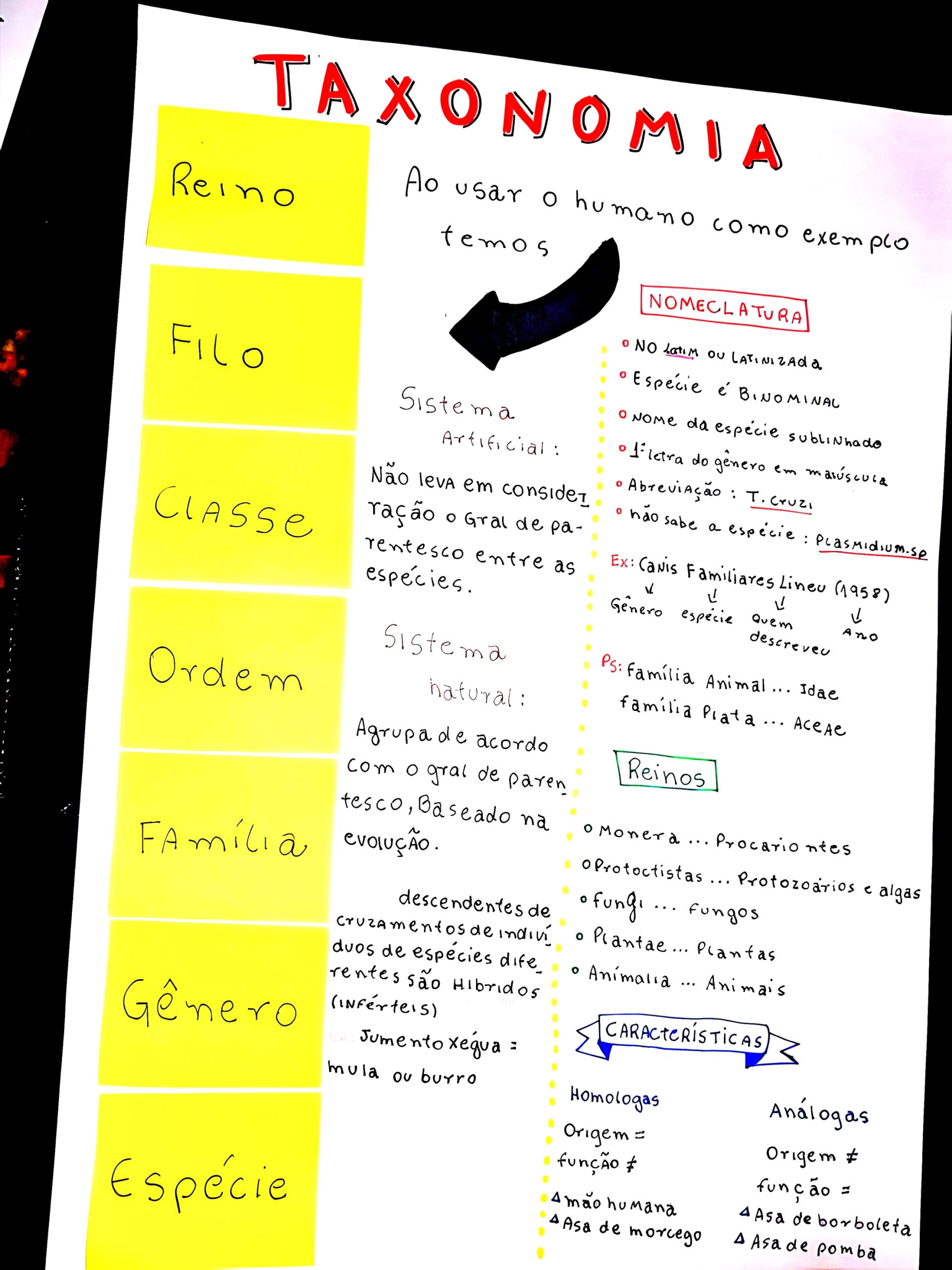 mapa mental com Evolução e Taxonomia: Como a História Molda a Classificação