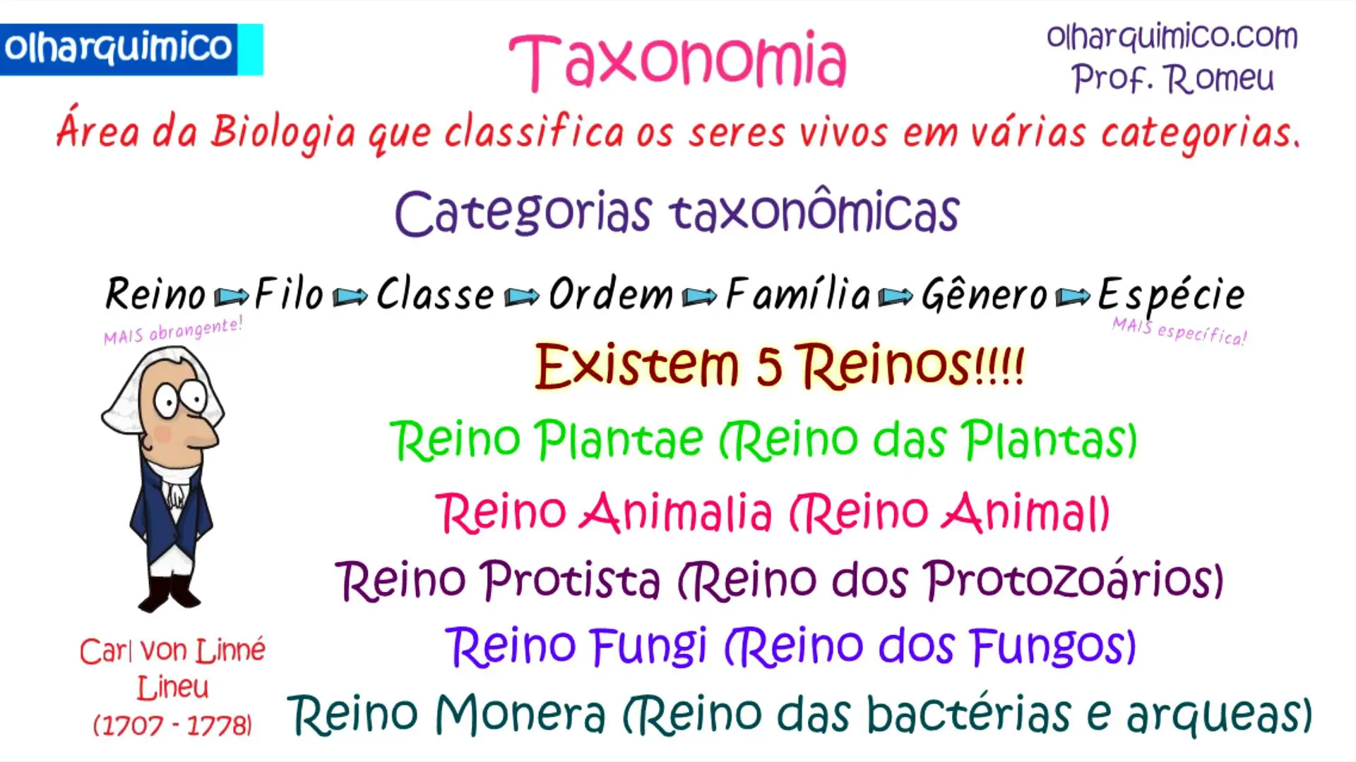 mapa mental com Classificação Hierárquica: Do Reino aos Espécimes
