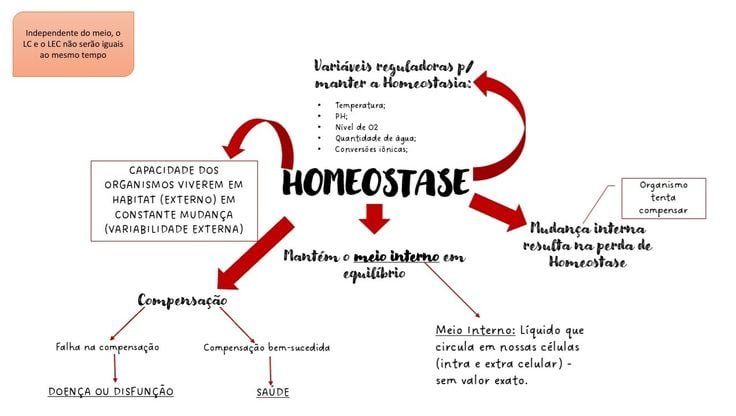 HOMEOSTASIA