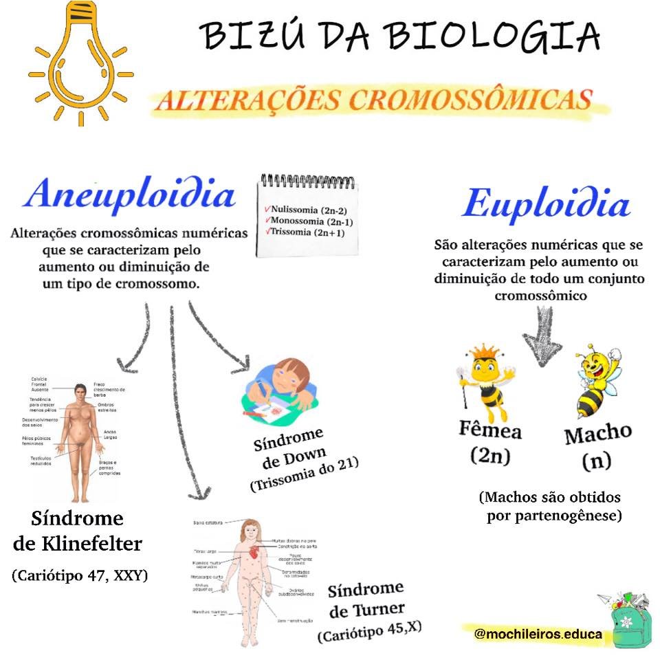 ALTERAÇÕES CROMOSSÔMICAS