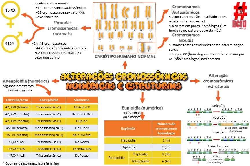 ALTERAÇÕES CROMOSSÔMICAS