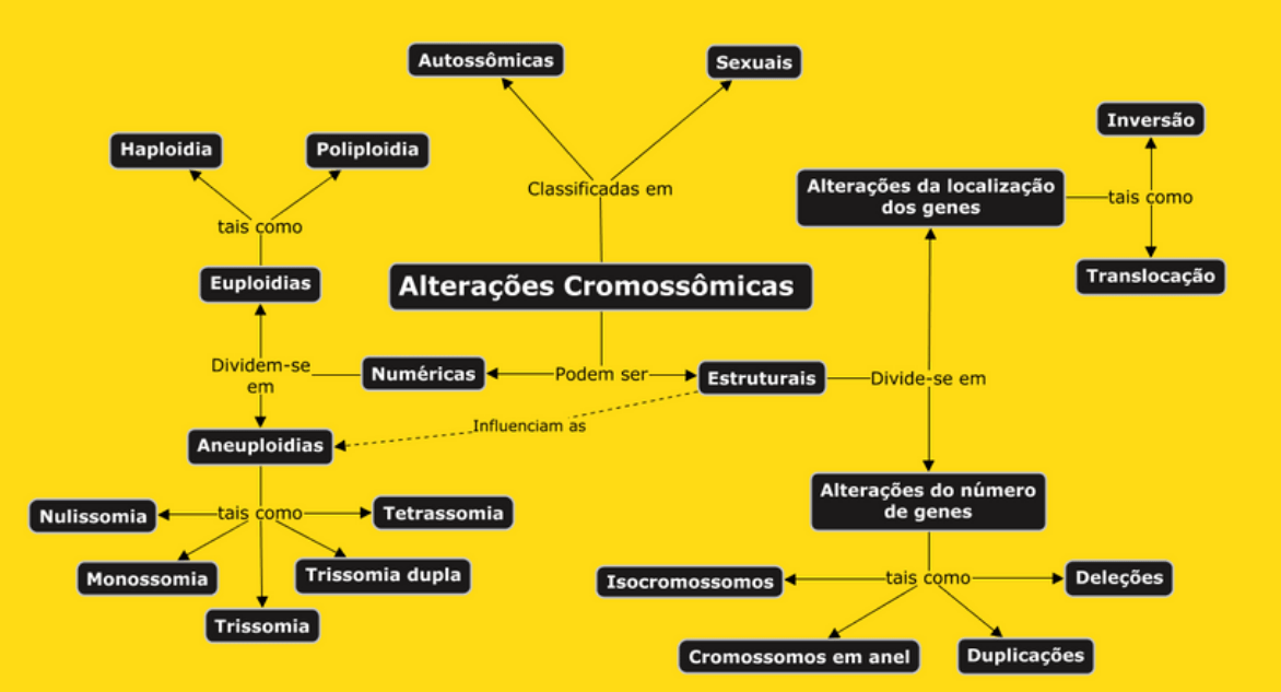 ALTERAÇÕES CROMOSSÔMICAS