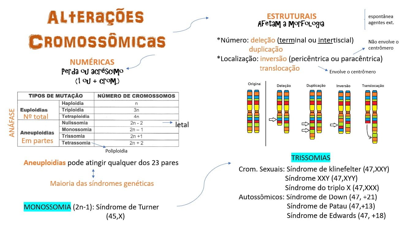 ALTERAÇÕES CROMOSSÔMICAS