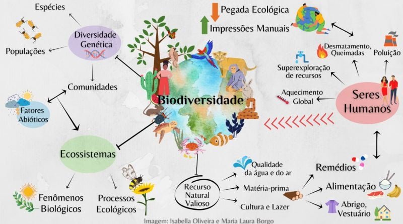 Biodiversidade