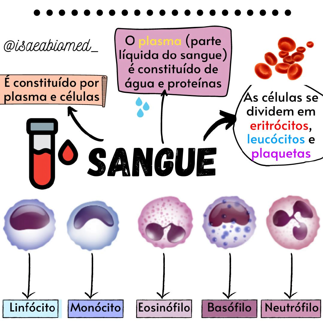 Mapas Mentais sobre HEMATOLOGIA Study Maps