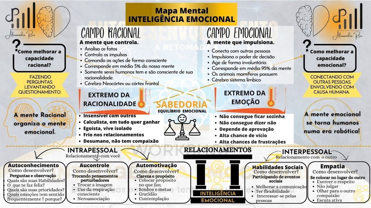 INTELIGÊNCIA EMOCIONAL