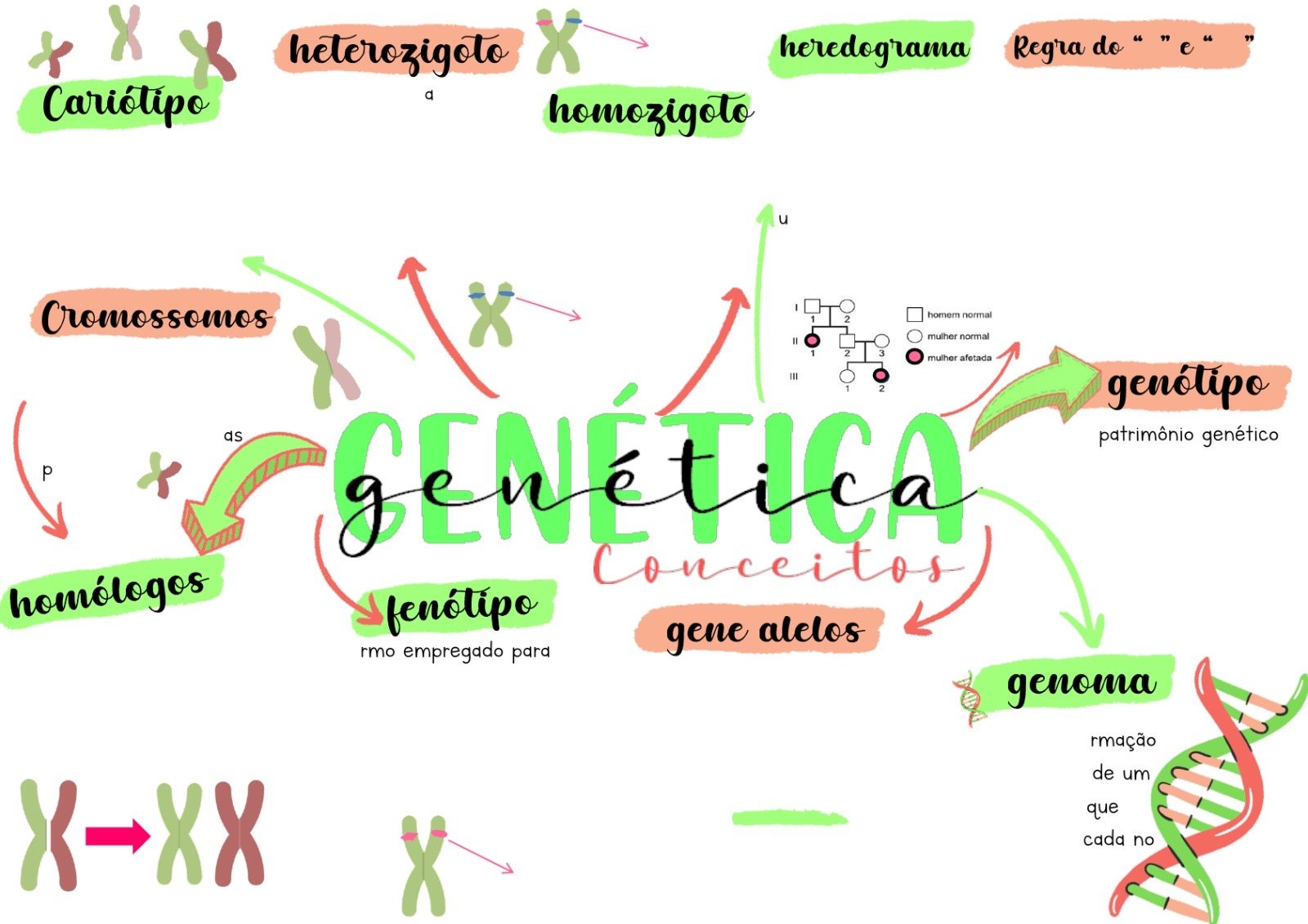Mapa mental sobre CONCEITOS DE GENETICA