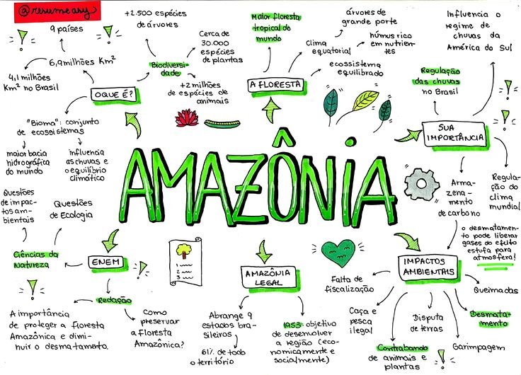 Mapa mental sobre O BIOMA AMAZONIA