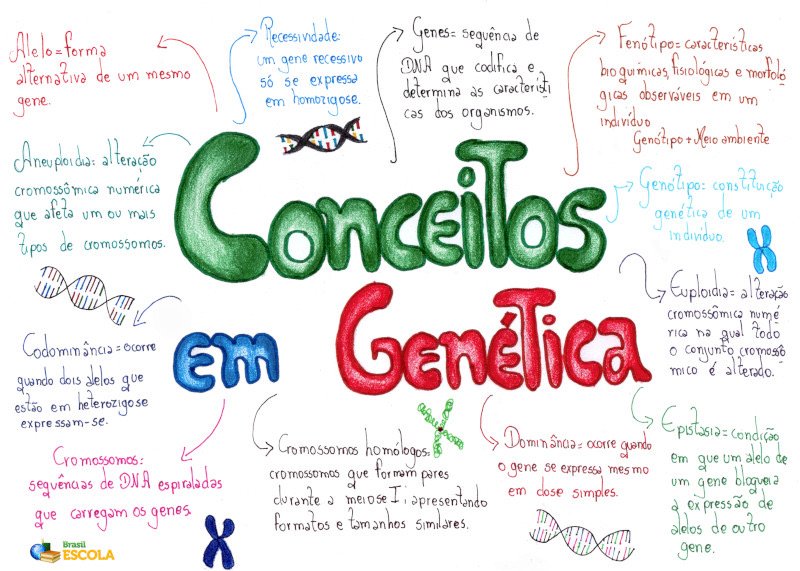 Mapa mental sobre CONCEITOS DE GENETICA