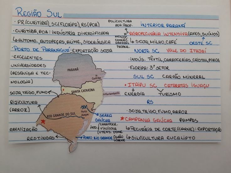 Mapa mental sobre A REGIAO SUL