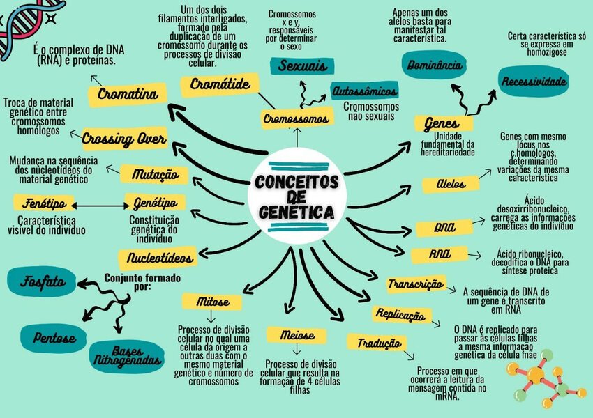 Mapa mental sobre CONCEITOS DE GENETICA