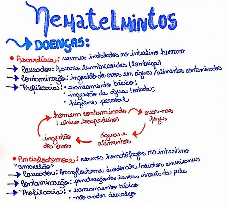 Mapa mental sobre NEMATELMINTOS