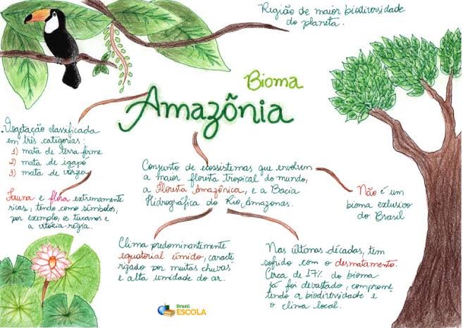 Mapa mental sobre O BIOMA AMAZONIA