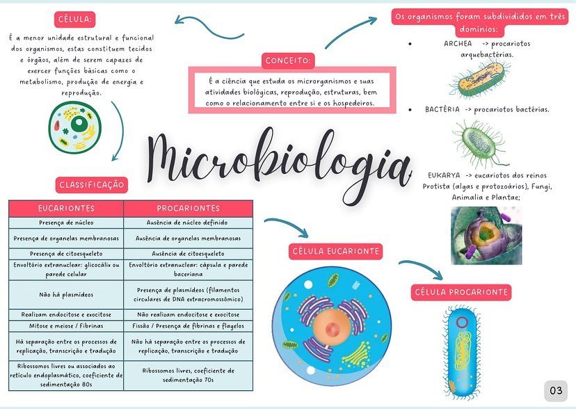Mapa mental sobre MICROBIOLOGIA