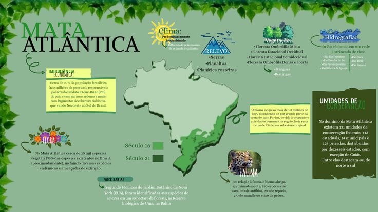 Mapa mental sobre A MATA ATLANTICA