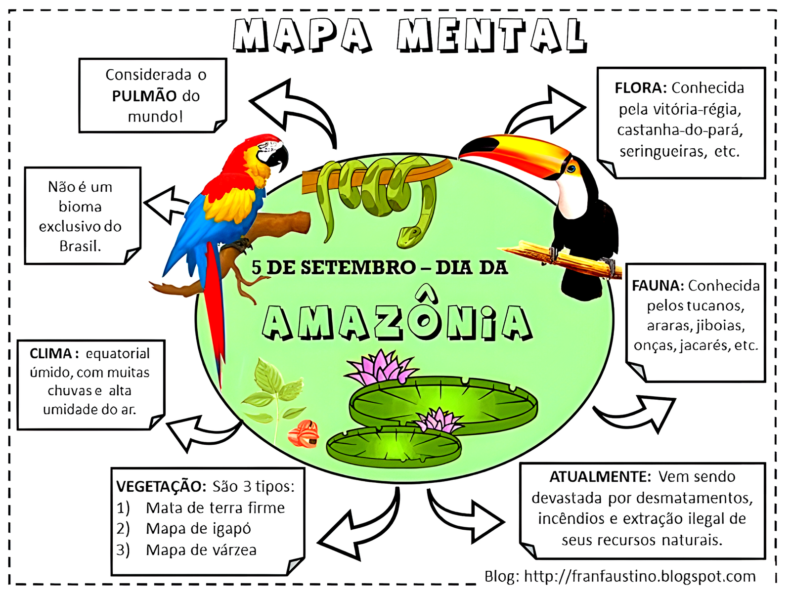Mapa mental sobre A AMAZONIA