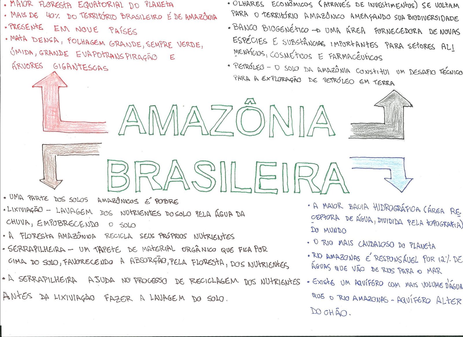 Mapa mental sobre A AMAZONIA